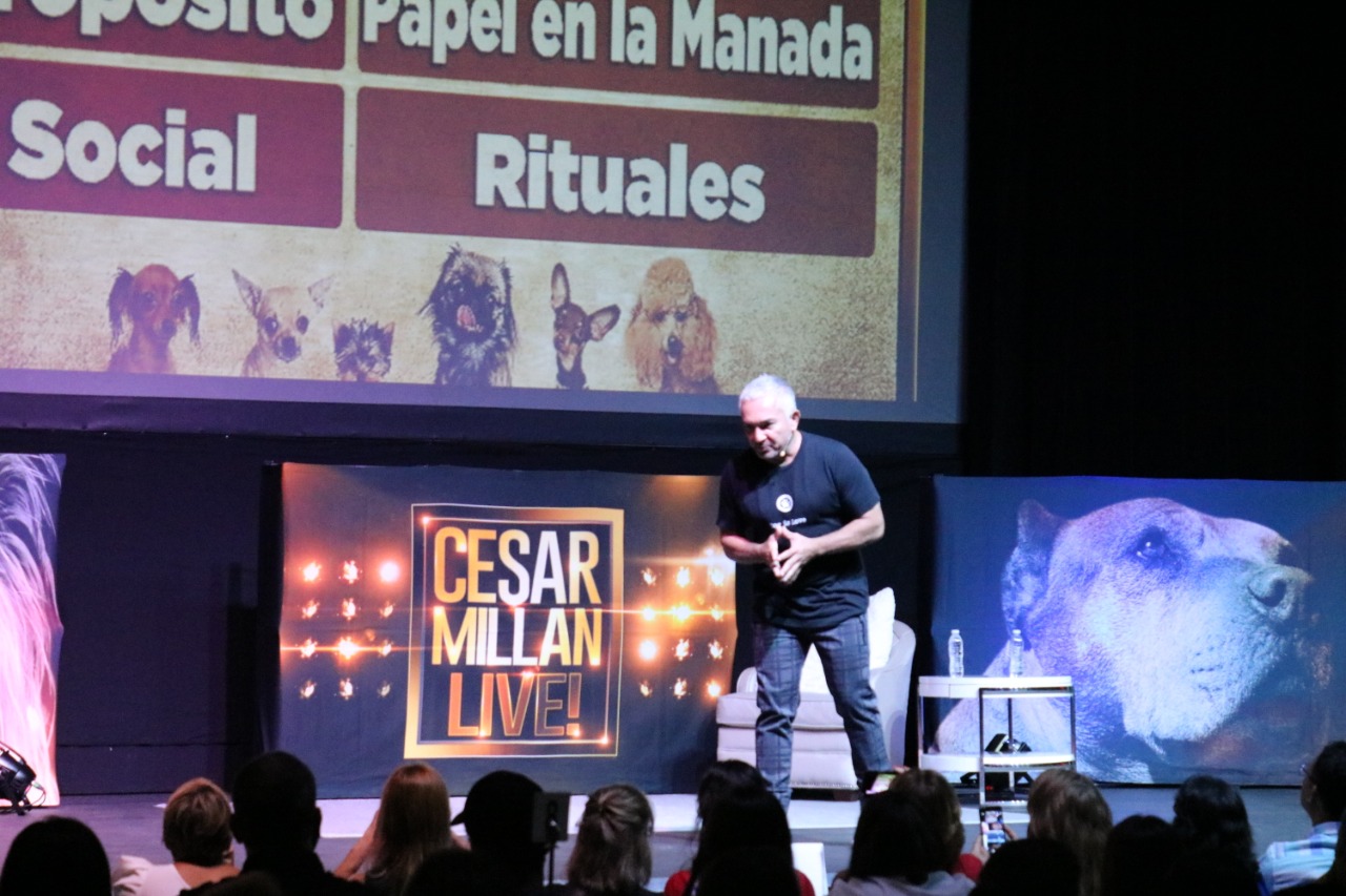 “A casa llena” se realiza presentación de César Millán en el país