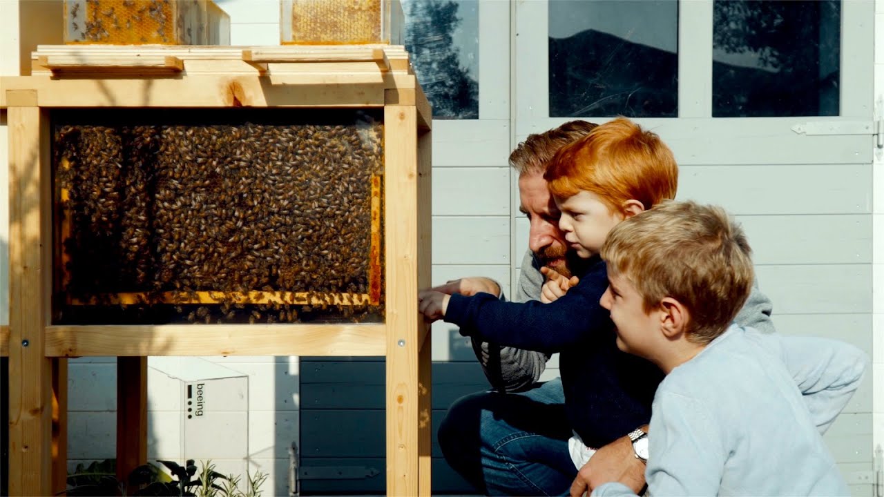 B-box, la colmena urbana para producir miel casera en la ciudad