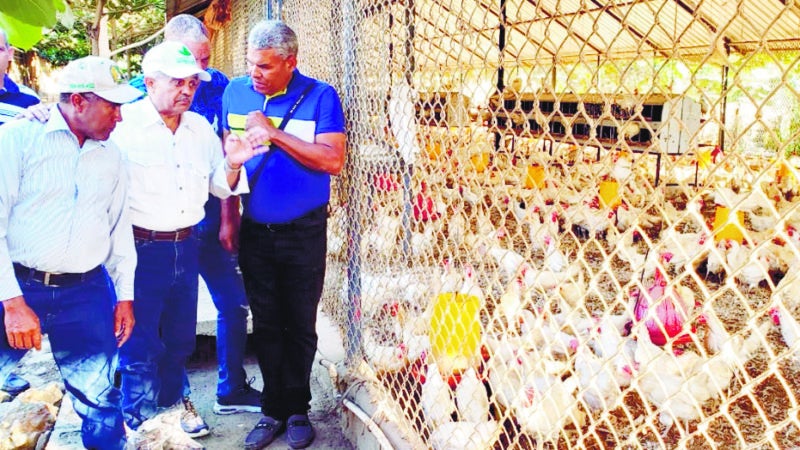 Bagrícola refinanciará producción avícola zona afectó virus