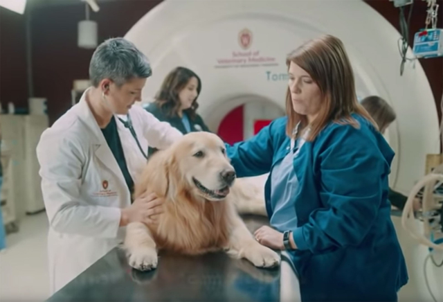El dueño de un perro compró un anuncio del Super Bowl por US$ 6 millones para la escuela de veterinaria que le salvó la vida a su amada mascota