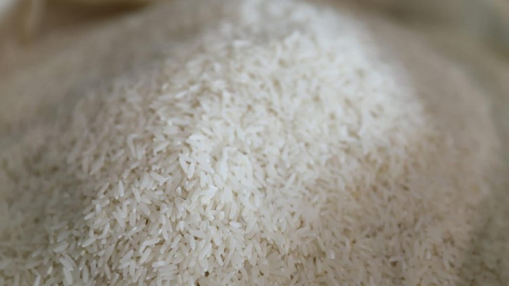 Gobierno destina diez mil millones de pesos para garantizar abastecimiento del arroz