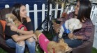 Doggie House y Tito’s Vodka realizan esfuerzo común a favor de los caninos