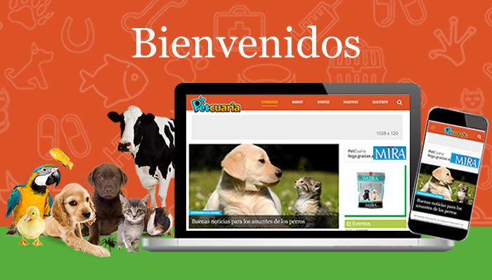 Editorial: Petcuaria nace para servir al sector pecuario y de mascotas