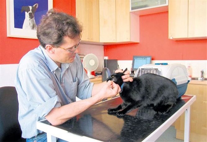 La labor del médico veterinario va más allá de cuidar mascotas