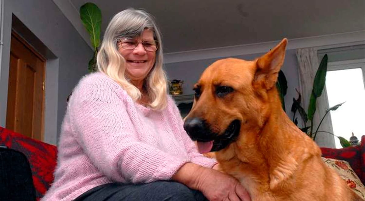 Perro salva a mujer de un mortal coma diabético tras fuerte olor en su aliento mientras dormía
