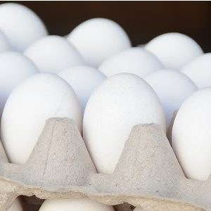 República Dominicana, sector del huevo gana protagonismo en rubro pecuario