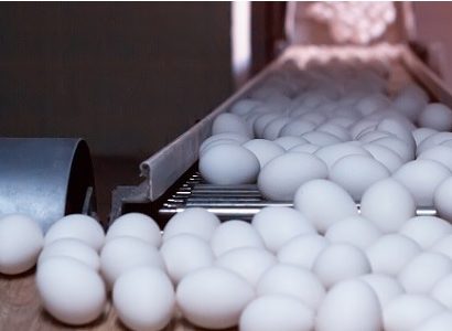 Sobreproducción de huevos causa merma sector