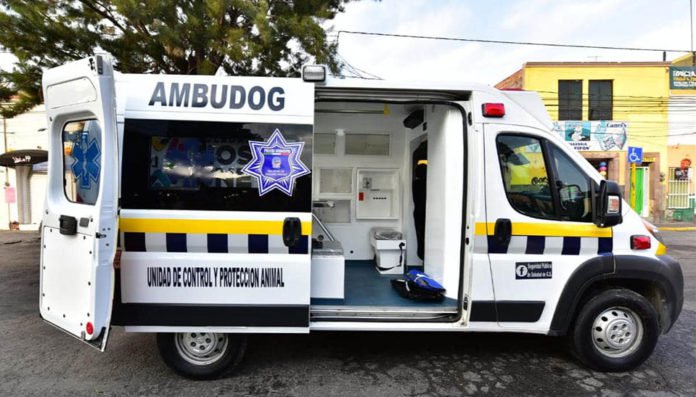 “Ambudog”, la primera ambulancia para atender animales sin hogar