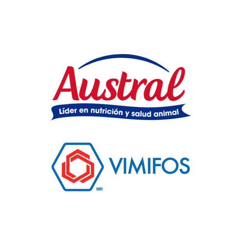 Inversiones Austral y Vimifos lanzan línea de alimentos para cerdos