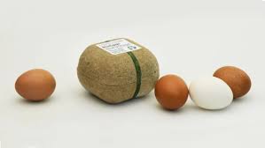 Envase biodegradable de huevos se convierte en planta después de su uso