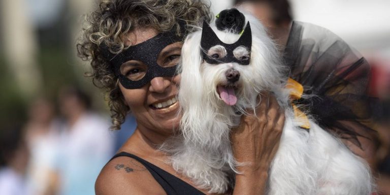 Perros celebran carnaval con fiesta propia en Río de Janeiro