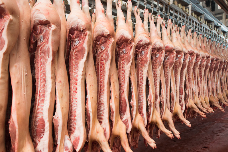 En 9 años Estados Unidos será el principal exportador de carne de cerdo en el mundo
