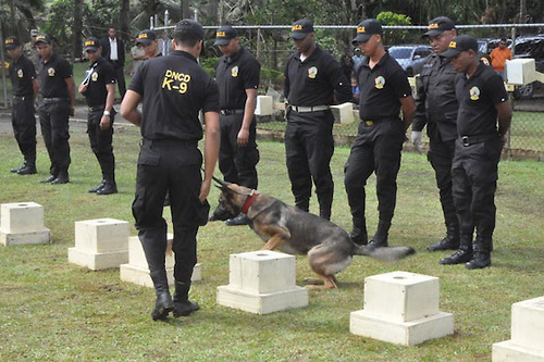 Combatirán con perros el narcotráfico en fronterizas provincias Elías Piña e Independencia