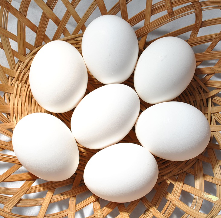 El huevo tiene que formar parte de la alimentación diaria; mensaje del Consejo Internacional del Huevo en la conmemoración del Día Mundial de la Salud