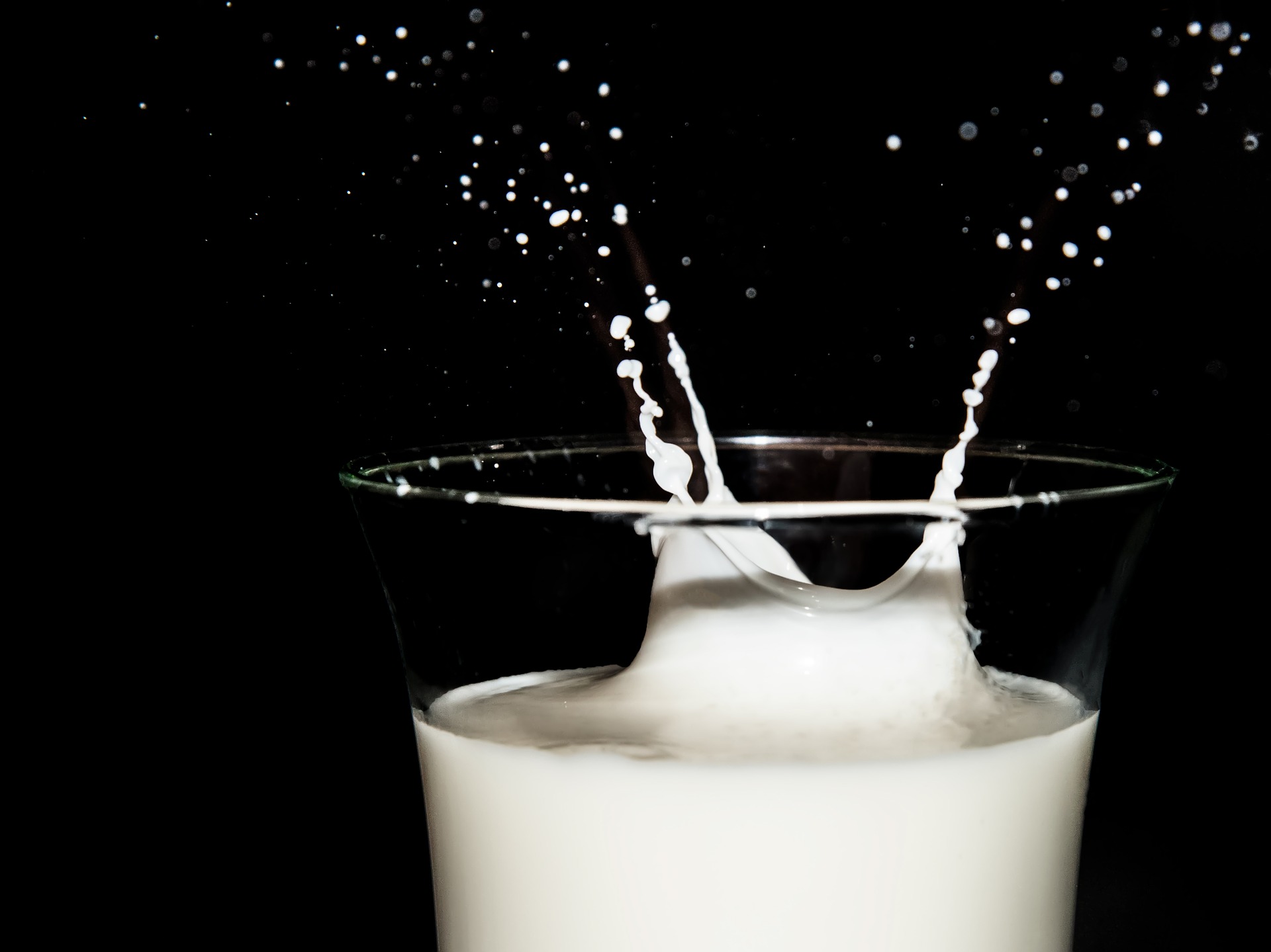 En Chile científicos fabricaron leche sin lactosa gracias a microorganismos antárticos