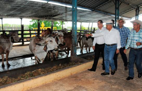 El CEA y Agricultura firman acuerdo para expandir producción bovina en el país