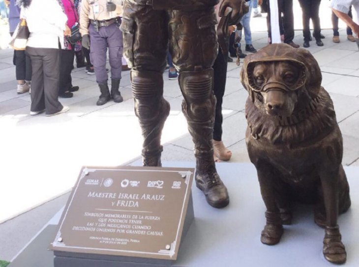Frida, la perrita rescatista de la Marina de México ya tiene su estatua
