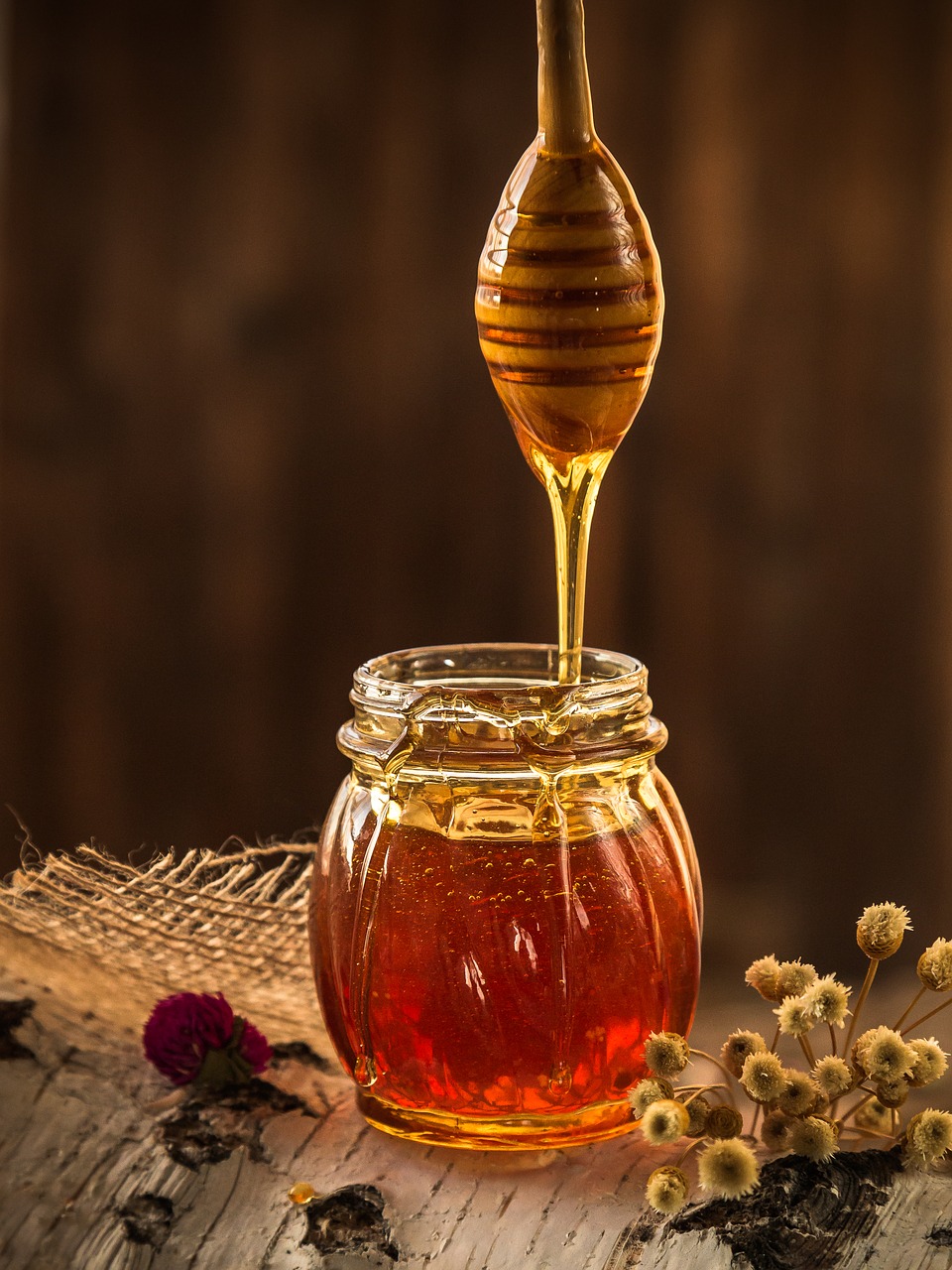 Proyecto apícola impulsará producción de miel y el cuidado del medio ambiente