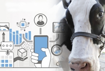 La industria 4.0 y cómo se relaciona con la ganadería
