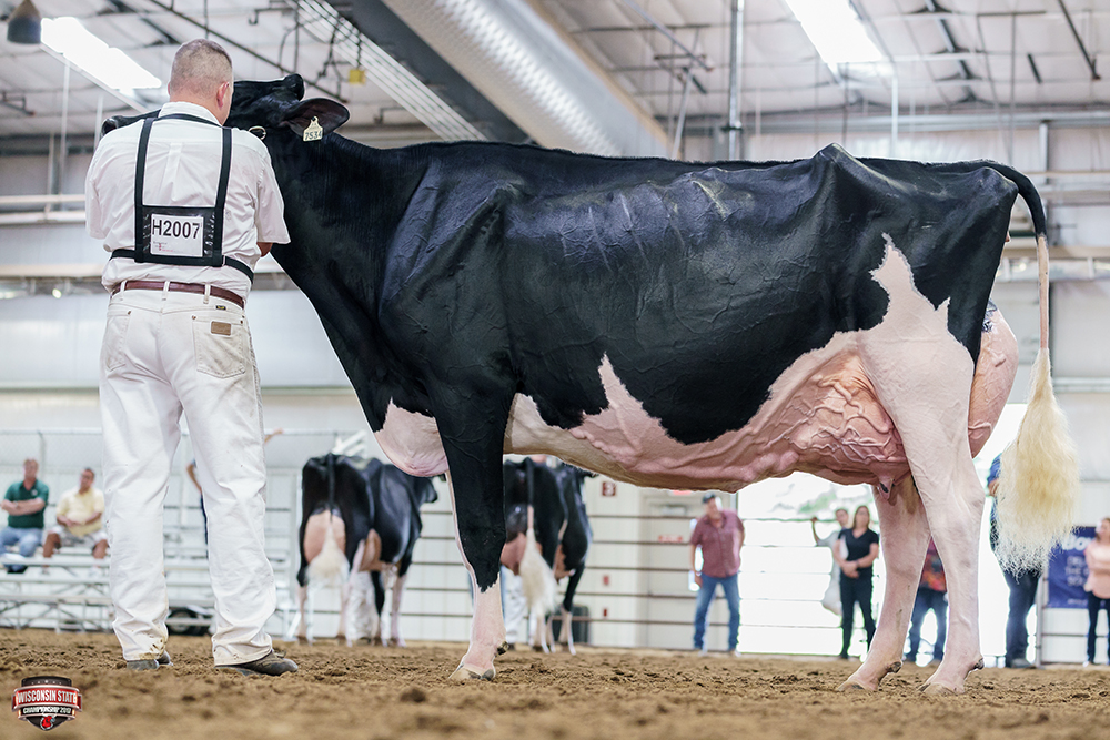 La vaca Blexy es ganadora del Campeón Supremo de Lechería