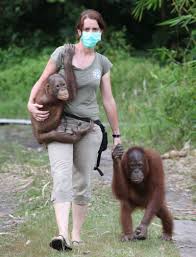  Premiada Médico Veterinario por proteger a los Orangutanes
