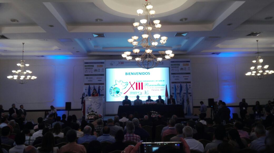 Panamá celebra el XIII Congreso de Porcicultura