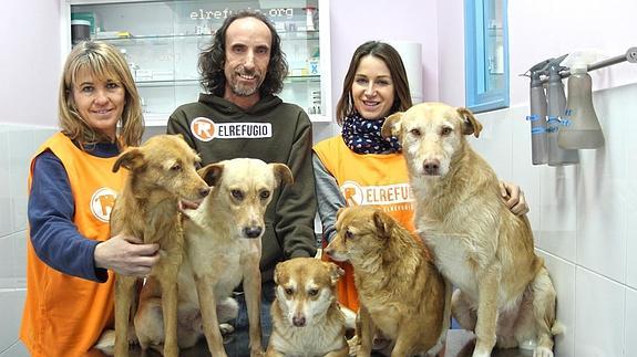 La protectora El Refugio ofrece atención veterinaria gratuita a perros y gatos de desempleados
