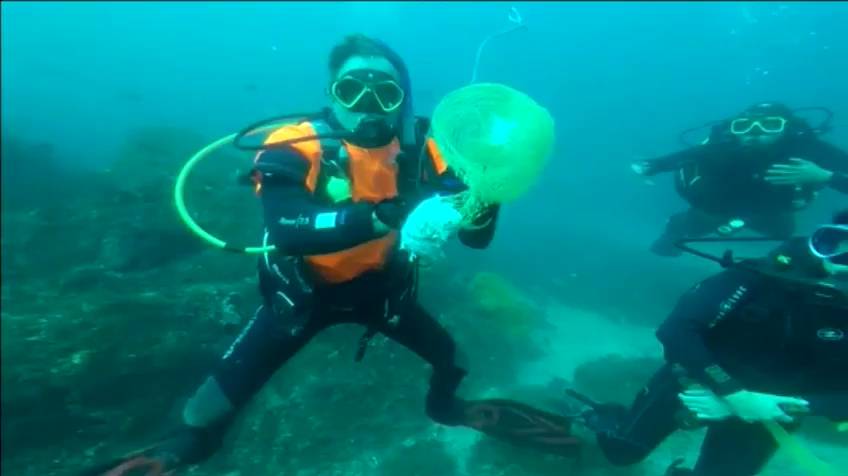 Un submarinista español libera a un tiburón que estaba tragándose una bolsa de plástico
