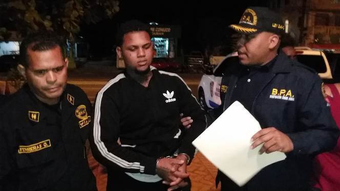 Apresan hombre mat&oacute; a perra reci&eacute;n parida en Puerto Plata