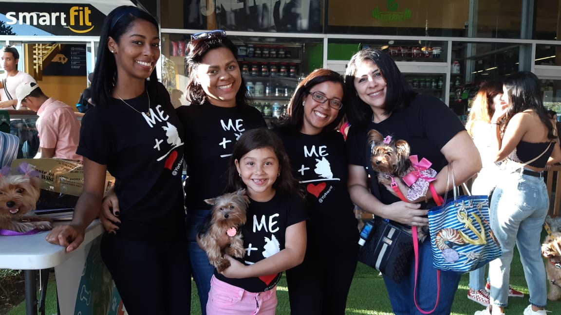 Club de Yorkies del pa&iacute;s realiza su segundo encuentro en Santo Domingo
