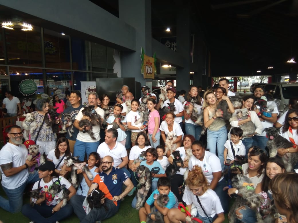 Con mucha alegr&iacute;a celebran encuentro de Schnauzer en el Arca Pets Shop