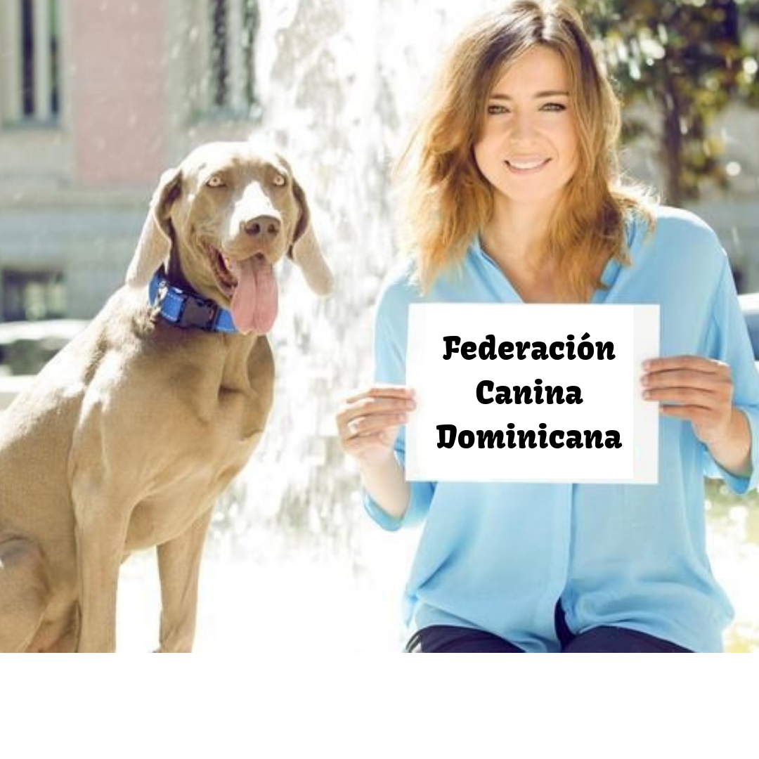 &iquest;Sab&iacute;as que ya puedes declarar tu perro?