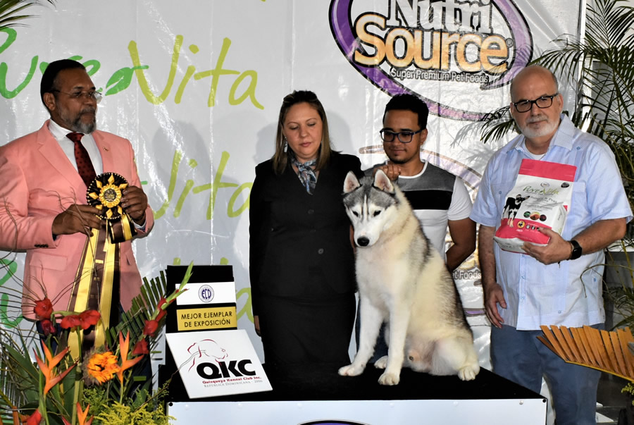 Realizan exposici&oacute;n nacional canina de todas las razas