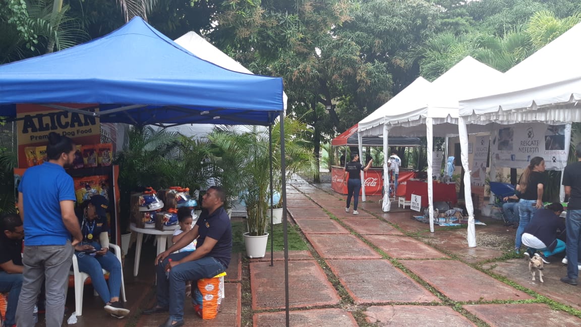 Bajo la lluvia, celebran con &eacute;xito el festival canino &ldquo;Crazy  for Pets&rdquo;