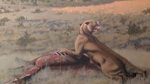 Descubren una nueva especie de gato gigante depredador que cazaba bisontes 