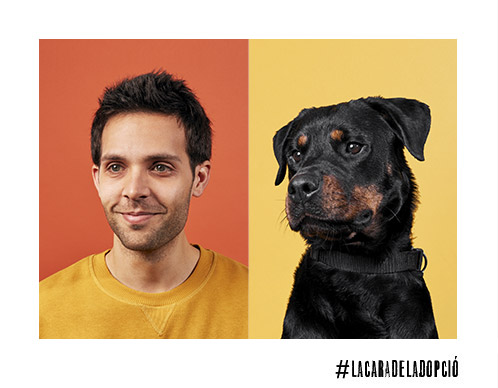 Ogilvy te ayuda a encontrar a tu &ldquo;canino ideal&rdquo;